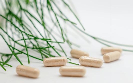 How Do Mushroom Extract Capsules Differ from Other Mushroom Supplement Products?